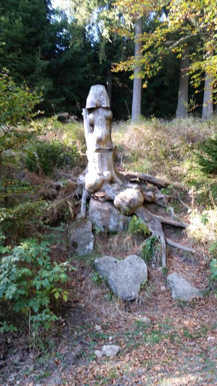 Ferienwohnung Harz-Zauber Braunlage Exterior foto