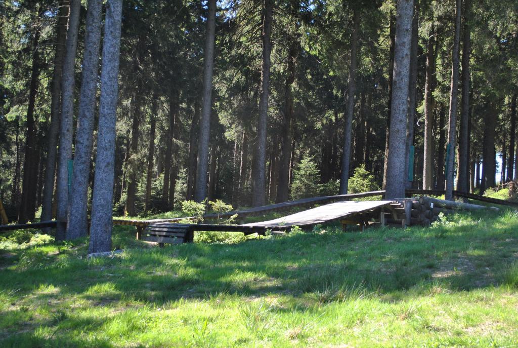 Ferienwohnung Harz-Zauber Braunlage Exterior foto